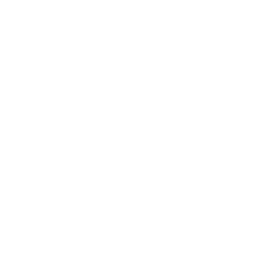 UPS