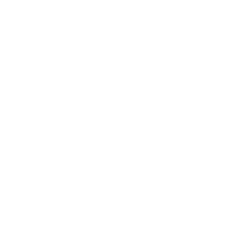 Couriers Please