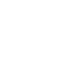 Sky Net